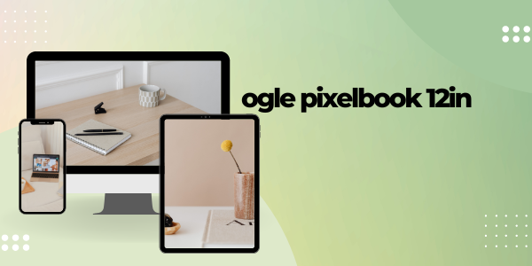 ogle pixelbook 12in